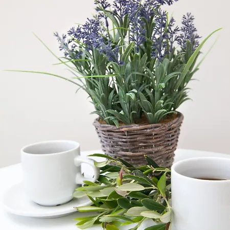 Appartamento Nammos Sunset Pserimos Town