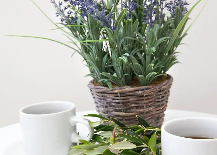 Апартаменты Nammos Sunset Pserimos Town